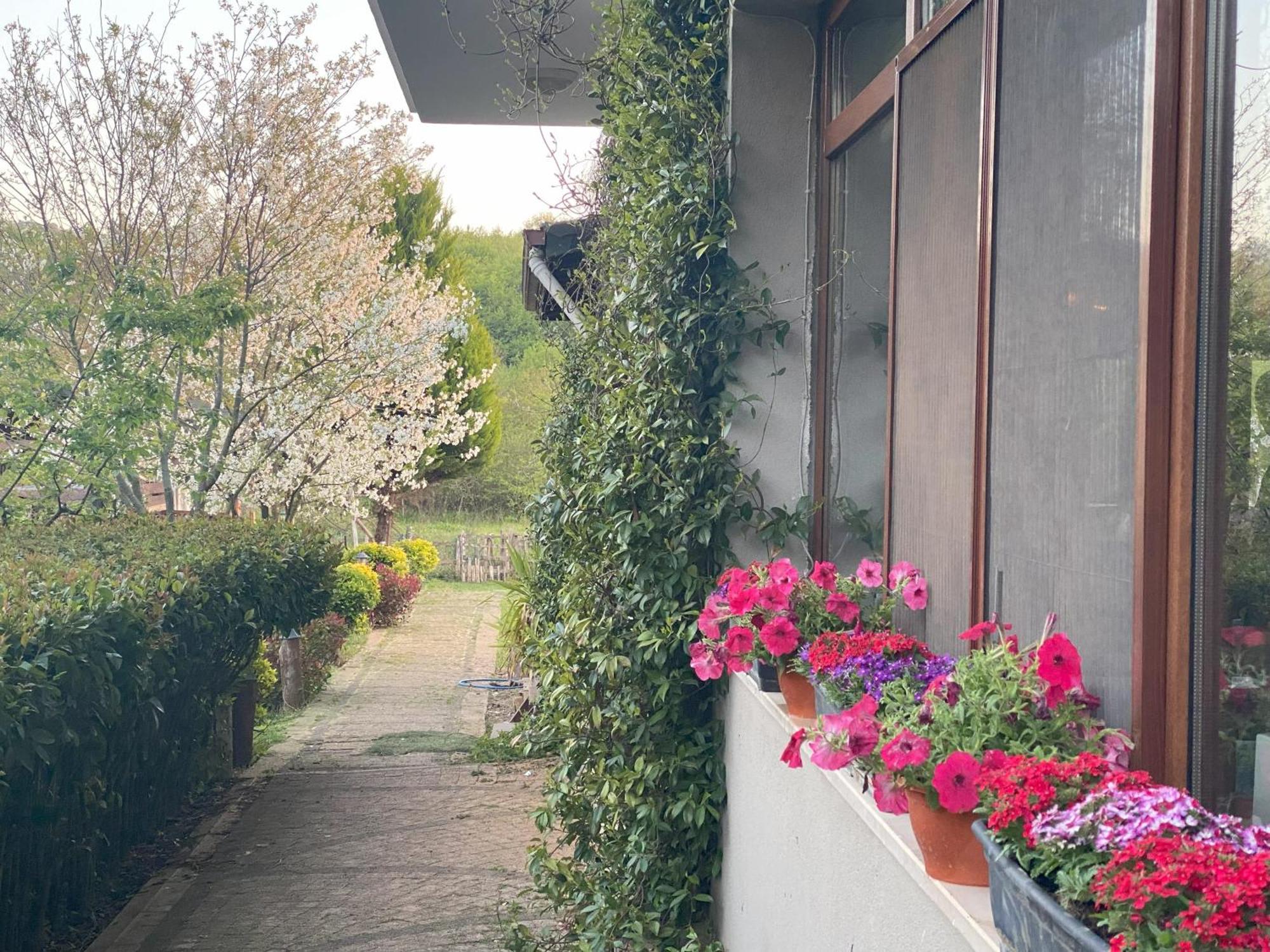 Kerpe Diem Otel Exteriér fotografie