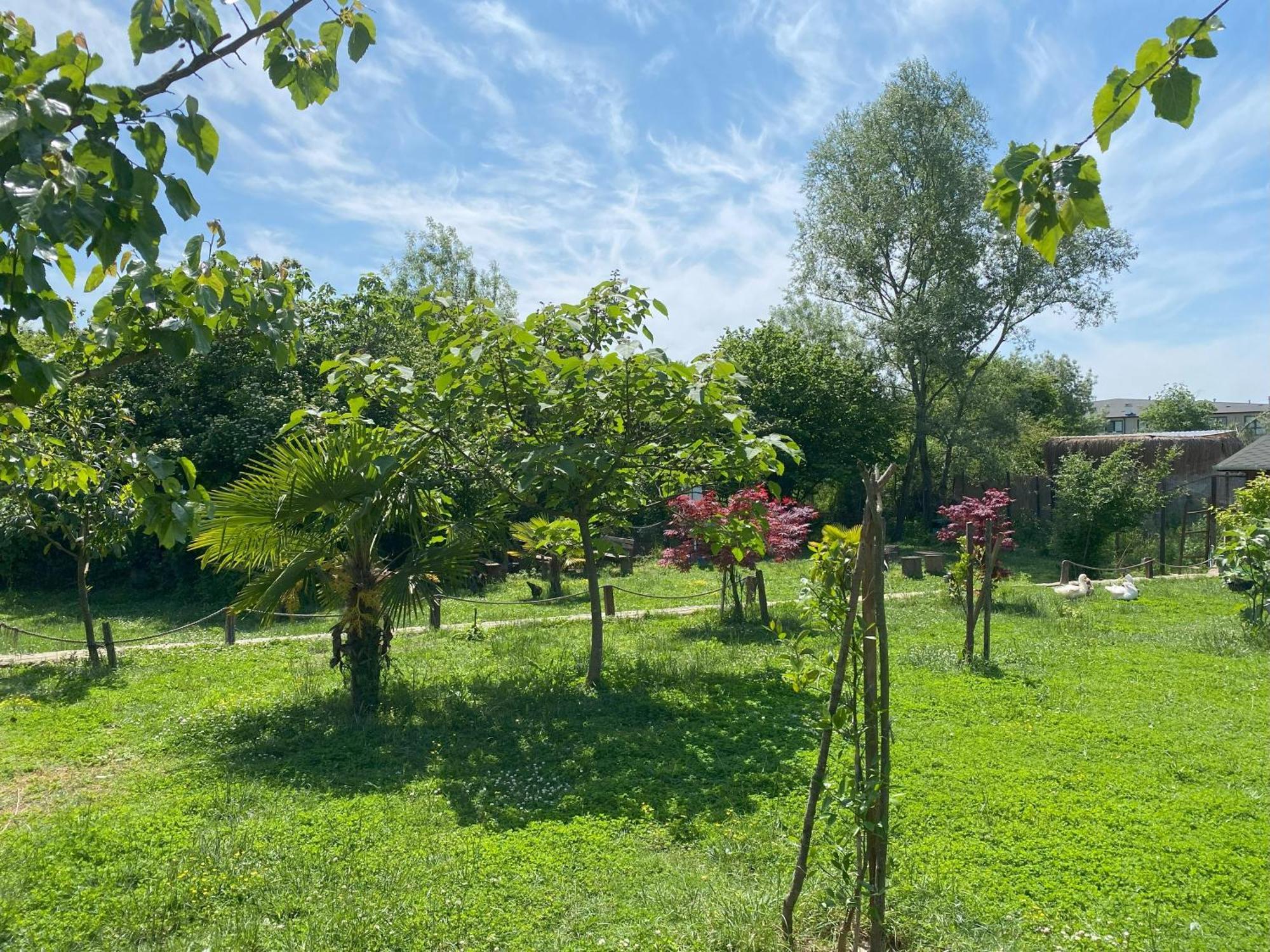 Kerpe Diem Otel Exteriér fotografie