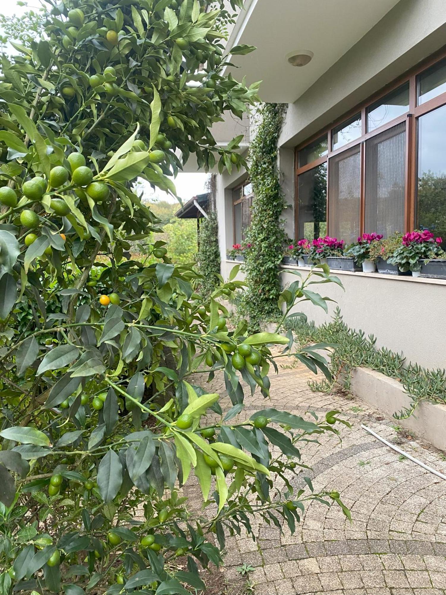 Kerpe Diem Otel Exteriér fotografie