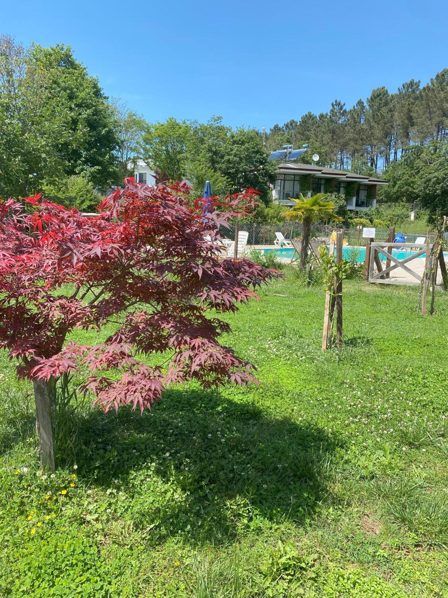 Kerpe Diem Otel Exteriér fotografie